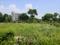 DLF Cyber City, DLF Phase 2 Main Image 1