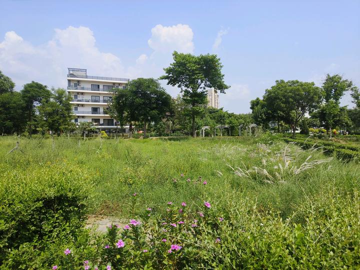 DLF Cyber City, DLF Phase 2 Main Image 1