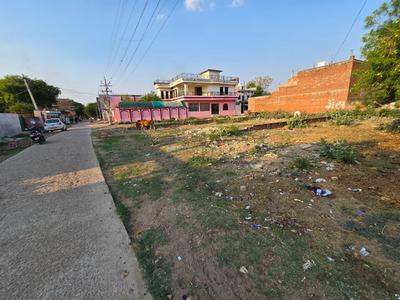 Arail Plot View 2
