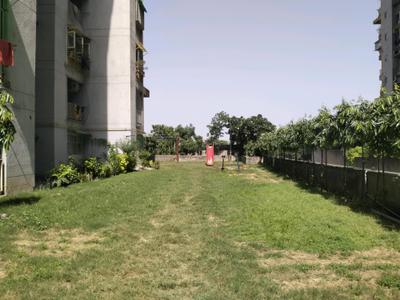 Playing Area Image of 1300 Sq.ft 3 BHK Apartment / Flat for rent in BCC Bharat City, Indraprashtha Yojna Ghaziabad for Rs. 12000