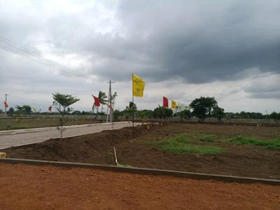 GEM Infiniti Counti Plot View 1