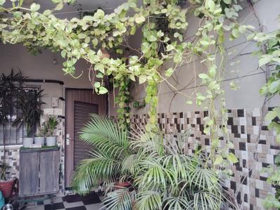 Image of 720 Sq.ft 3 BHK Duplex for sale in Parkland Ocean Enclave, Sadguru Nagar, Rajkot for Rs. 8800000