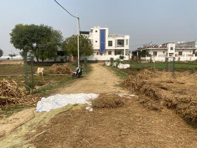 Amyika infra Plot View 3