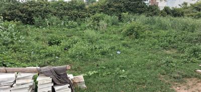 Image of 945 Sq.ft Residential Plot / Land for sale in Pathauli Village, Agra for Rs. 1500000