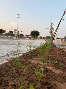 Image of 900 Sq.ft Residential Plot / Land for sale in Bindayaka, Jaipur for Rs. 3700000