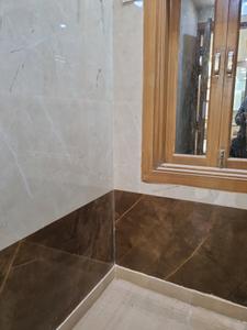 Common Bathroom Image of 568 Sq.ft 2 BHK Apartment / Flat for rent in Dwarka Mor New Delhi for Rs. 25000