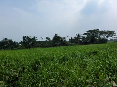 Image of 720 Sq.ft Residential Plot / Land for sale in Wander Valley, Joka, Kolkata for Rs. 305555