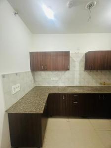 Kitchen Image of 1074 Sq.ft 2 BHK Apartment / Flat for rent in RG Luxury, Noida Extension Greater Noida for Rs. 21500