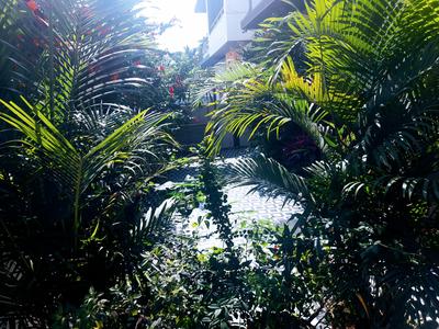 Image of 4500 Sq.ft 4 BHK Villa for sale in Malavli, Lonavala for Rs. 19700000