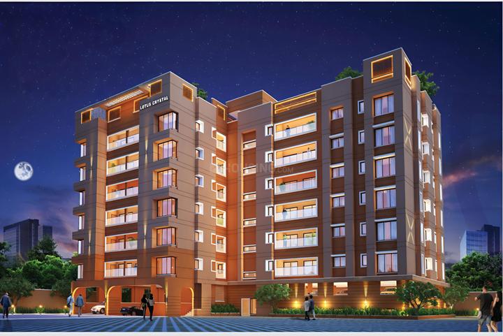 Kapis Lotus Crystal Main Image 1