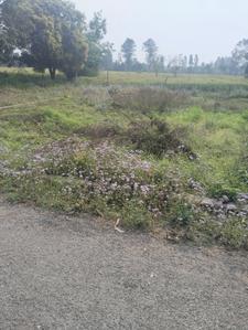 Image of 950 Sq.ft Residential Plot / Land for sale in Haldwani, Nainital for Rs. 2755000