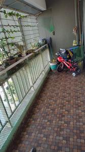 Balcony Image of 950 Sq.ft 2 BHK Apartment / Flat for sale in Majestique Venice, Dhayari Pune for Rs. 6800010