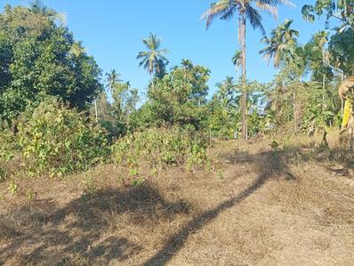 Image of 4350 Sq.ft Residential Plot / Land for sale in Angamaly, Kochi for Rs. 2500000
