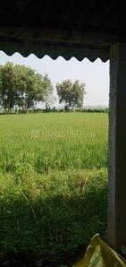 Image of 21600 Sq.ft Residential Plot / Land for sale in Galsi, Bardhaman for Rs. 200000