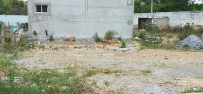 MS Garden Extension Plot View 3