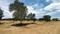 Samayapuram  Plot View 2