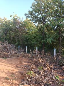Image of 4800 Sq.ft Residential Plot / Land for sale in Periyanaickenpalayam, Coimbatore for Rs. 3450000