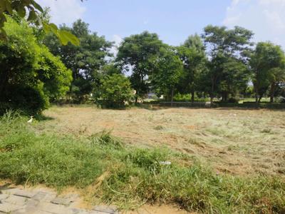 Residential Plot