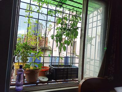 Bedroom Image of 900 Sq.ft 2 BHK Apartment / Flat for sale in Sonarpur Kolkata for Rs. 4200000