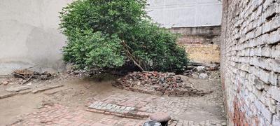 Tarapuri Plot View 2