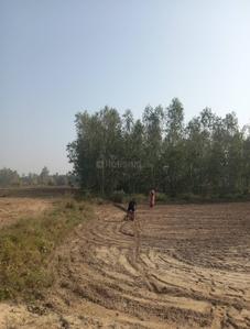 Image of 1000 Sq.ft Residential Plot / Land for sale in Nigoha, Lucknow for Rs. 299000