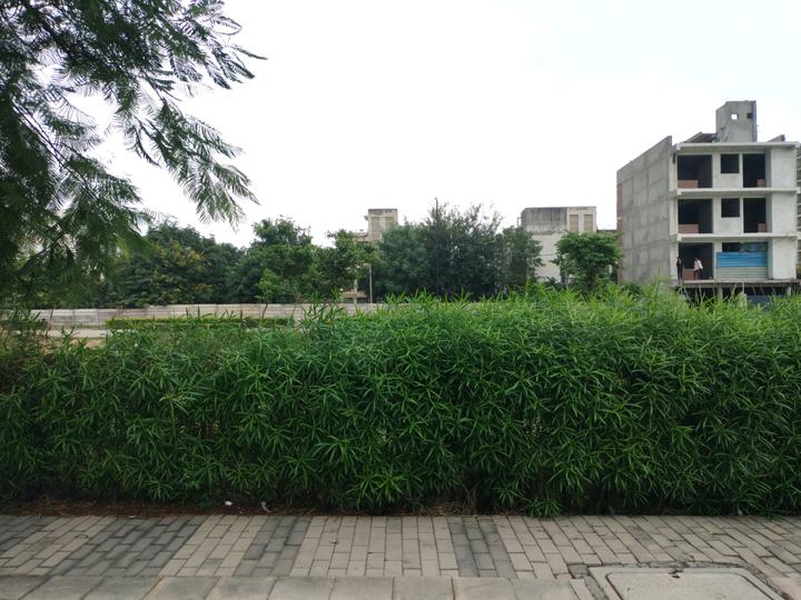 Sector 81 Main Image 1