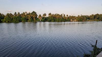 Keralarealty Plot View 2