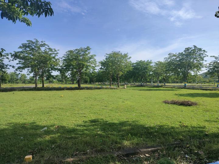 Nutech Fortune Main Image 1