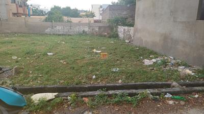 SME orchid Plot View 1