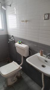 Bathroom Image of 450 Sq.ft 1 BHK Apartment / Flat for rent in ROF Amaltas, Sector 92 Gurgaon for Rs. 13500