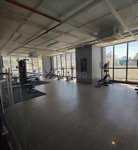 Image of 1749 Sq.ft 3 BHK Apartment / Flat for rent in Shriram Southern Crest Phase 1, Kumaraswamy Layout, Bengaluru for Rs. 70000