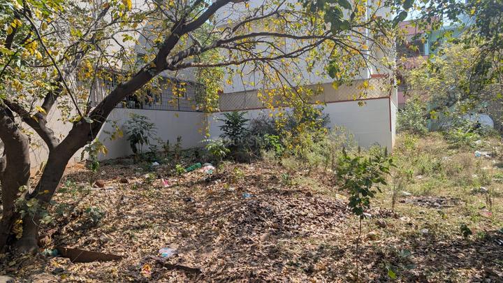 Thammenahalli Village Main Image 1