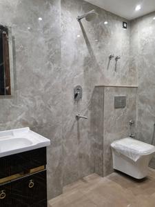 Common Bathroom Image of 540 Sq.ft 2 BHK Apartment / Flat for sale in Mahavir Enclave New Delhi for Rs. 5500000