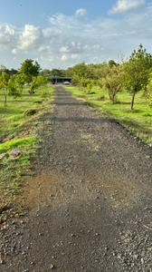 Image of 624 Sq.ft 1 BHK Farm House for sale in Palghar, Mumbai for Rs. 20000000
