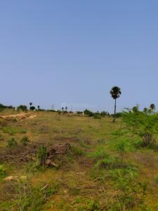 Image of 4624 Sq.ft Residential Plot / Land for sale in Avinashi Taluk, Tiruppur for Rs. 10000000