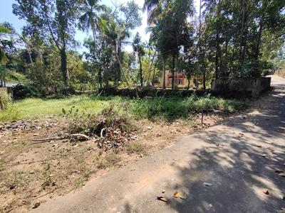 Thrippunithura Plot View 3
