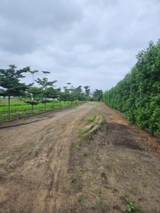 Image of 6000 Sq.ft Residential Plot / Land for sale in Simrol, Indore for Rs. 3500000
