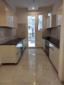 Kitchen Image of 1566 Sq.ft 3 BHK Apartment / Flat for sale in Fortune Victoria Heights, Dhakoli Zirakpur for Rs. 12000000
