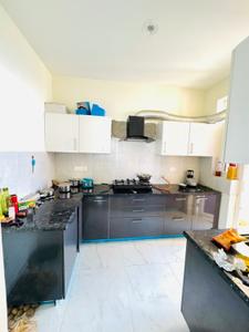 Kitchen Image of 1285 Sq.ft 2 BHK Apartment / Flat for rent in DD Altura, Gazipur Zirakpur for Rs. 30000