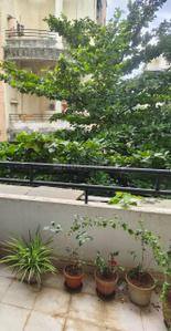 Balcony Image of 900 Sq.ft 2 BHK Apartment / Flat for rent in Suyog Saffron, Rahatani Pune for Rs. 25000