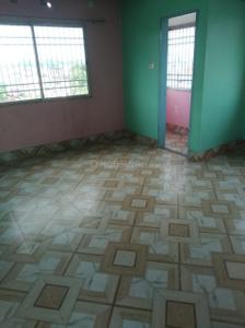 Hall Image of 1100 Sq.ft 2 BHK Independent House for rent in Champasari Siliguri for Rs. 12000