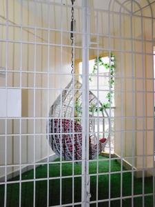 Balcony Image of 1256 Sq.ft 2 BHK Apartment / Flat for rent in J R Makwoods Apartment, GB Palya Bengaluru for Rs. 55000