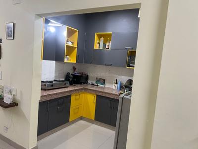 Kitchen Image of 1000 Sq.ft 2 BHK Apartment / Flat for rent in Paramount Emotions, Noida Extension Greater Noida for Rs. 26000
