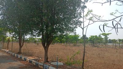 Residential Plot