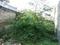 Shyam Vihar - II, Deenpur Main Image 1