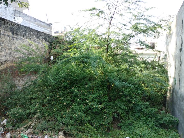 Shyam Vihar - II, Deenpur Main Image 1