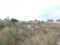 GREEN VALLEY Main Image 1