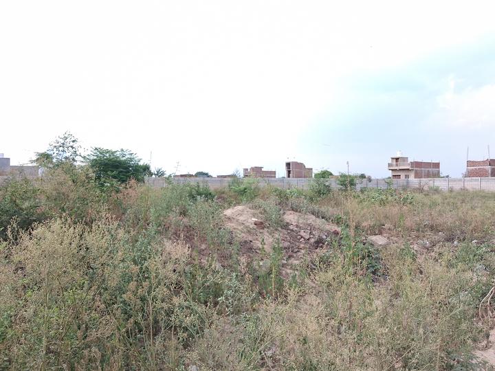 GREEN VALLEY Main Image 1