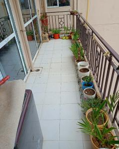 Balcony Image of 541 Sq.ft 2 BHK Apartment / Flat for sale in Signature Global Andour Heights, Sector 71 Gurgaon for Rs. 11000000