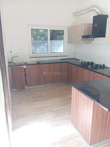 Kitchen Image of 1850 Sq.ft 3 BHK Apartment / Flat for rent in Besant Nagar Chennai for Rs. 90000